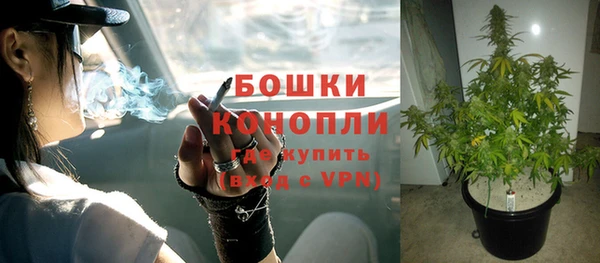 СК Балахна
