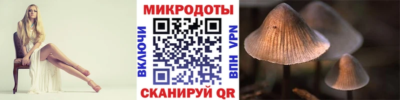 как найти   Заозёрск  KRAKEN рабочий сайт  Псилоцибиновые грибы Magic Shrooms 