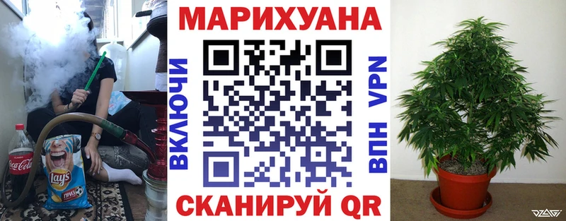 Бошки Шишки MAZAR  дарнет шоп  Заозёрск 